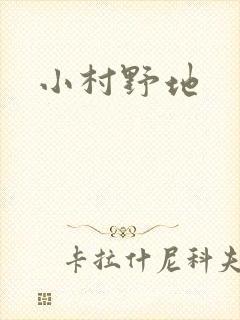 小村野地