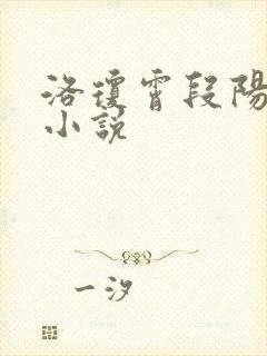 洛琼霄段阳澍的小说