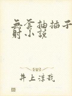 无套抽插子宫内射小说