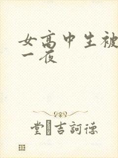 女高中生被弄了一夜