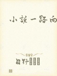 小说一路向西