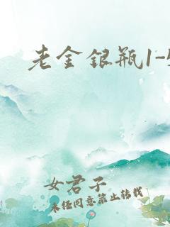 老金银瓶1-5
