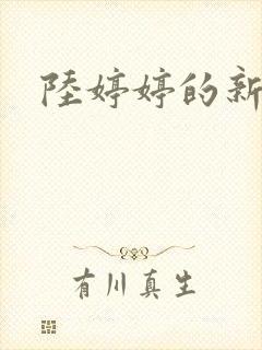 陆婷婷的新故事