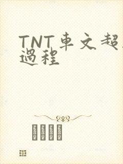 TNT车文超细过程