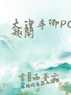 大理寺卿PO笔趣阁