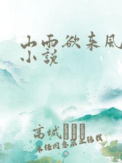 山雨欲来风满楼小说