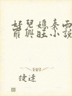 好儿媳秦雨罗明罗兴旺小说