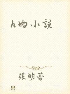 h肉小说