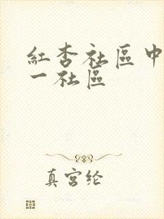 红杏社区中文第一社区