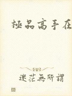 极品高手在异界