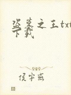 盗墓之王txt下载