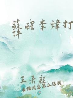 苏醒李炜打架事件