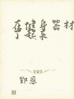 在健身器材上做了起来