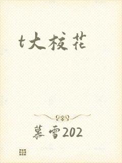 t大校花