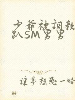 少爷被调教室跪趴SM男男