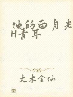 他的白月光HVH青耳