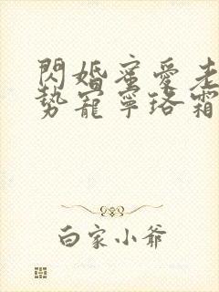 闪婚蜜爱老公强势宠宁珞霜