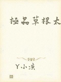极品草根太子