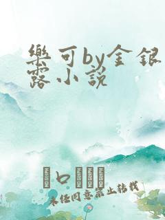 乐可by金银花露小说