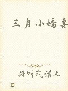 三月小娇妻