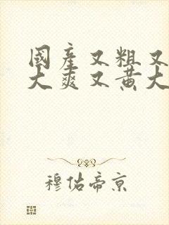 国产又粗又猛又大爽又黄大爷