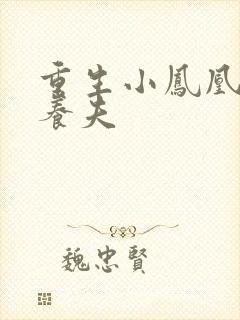 重生小凤凰的童养夫