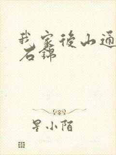 我家后山通仙界石锦