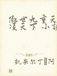 傲世九重天 风凌天下 小说