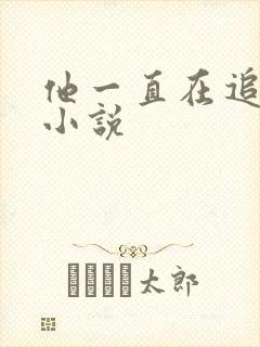 他一直在追初恋小说