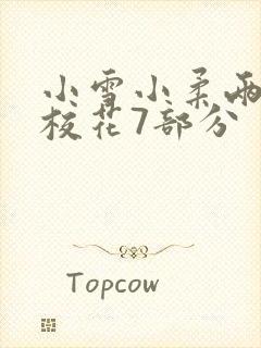 小雪小柔两个大校花7部分