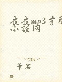 夜夜mp3有声小说网