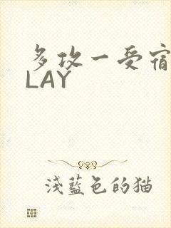 多攻一受宿舍PLAY