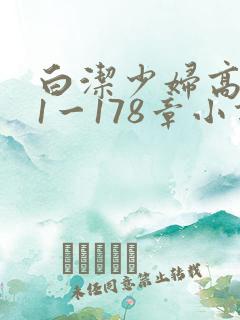 白洁少妇高义第1一178章小说