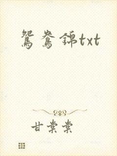 鸳鸯锦txt