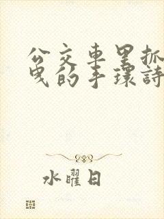 公交车里抓着摇曳的手环诗情