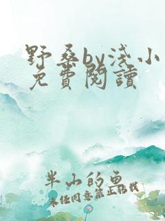 野桑by浅小说免费阅读