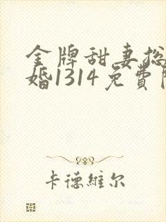 金牌甜妻总裁宠婚1314免费阅读