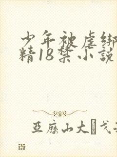 少年被虐绑着榨精18禁小说