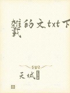 杂的文txt下载