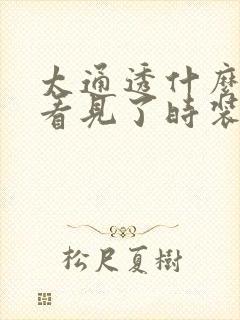 太通透什么毛都看见了时装