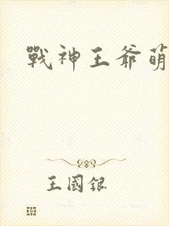 战神王爷萌虎妃