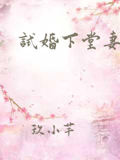 试婚下堂妻