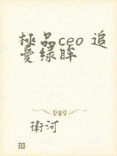极品ceo 追爱绿眸