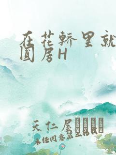 在花轿里就开始圆房H