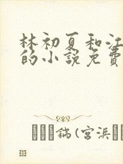 林初夏和江未寒的小说免费阅读