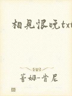 相见恨晚txt