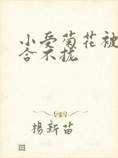 小受菊花被双龙合不拢