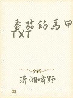 番茄的马甲小说TXT