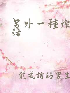 另外一种灿烂生活