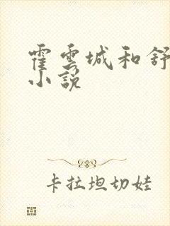 霍云城和舒情的小说